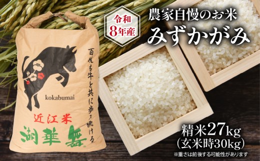 令和8年産 新米 農家自慢のお米 みずかがみ 精米 27kg ( 2026年産 白米 お米 産地直送 農家直送 送料無料 滋賀県 竜王 ふるさと納税 )