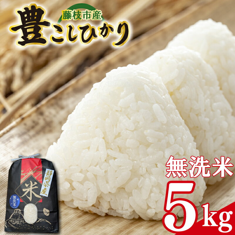 【ふるさと納税】 【令和7年産】お米 静岡県産 豊こしひかり 無洗米 5kg 米 こしひかり 新米 コシヒカリ おこめ 贈り物 人気米 ご飯 白米 コメ 贈答 静岡県 藤枝市