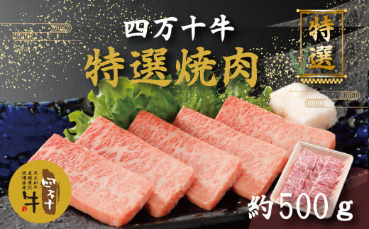 
R5-977．幻のメス牛 四万十牛特選焼肉（約500ｇ）
