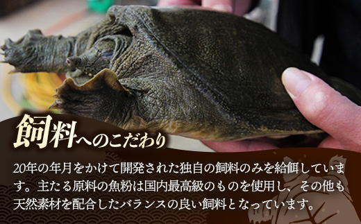 麻布小銭屋すっぽんスープ30缶 すっぽん スッポン 缶スープ すっぽん鍋 便利 使いやすい ストック コラーゲン コラーゲン 雑炊 スープ 茶碗蒸し 料亭 岩手県 岩手町 イワタニ