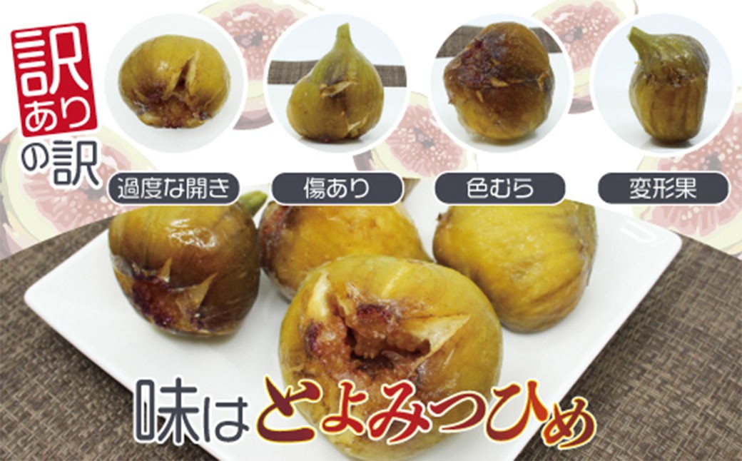 訳あり冷凍いちじく「とよみつひめ」3kg