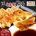 戸村本店特製味付 自家製餃子 計120個(10個×12パック)