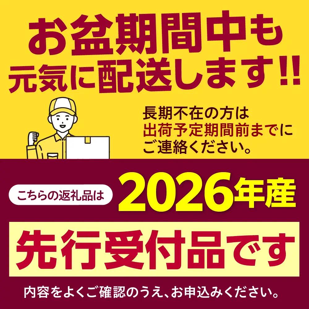 とうもろこし 北海道十勝芽室町 とうもろこし 13本 スイートコーン