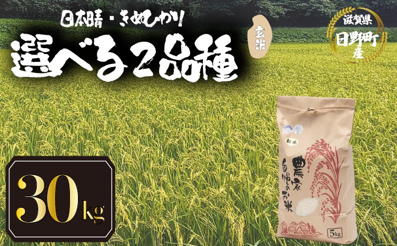 
            【 令和7年産 新米 30kg 玄米 】 選べる 品種 日本晴 きぬひかり 米 白米 2025年産 にほんばれ キヌヒカリ 国産 滋賀県 日野町 農家直送 お米 精米 おこめ こめ 産地直送 ふるさと納税
          