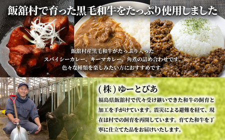 飯舘産黒毛和牛レトルト10食セット ITTAH005