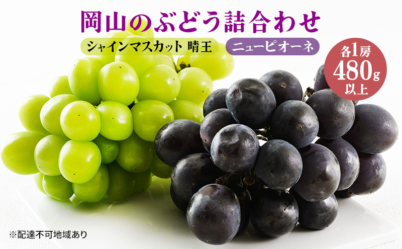 ぶどう 2025年 先行予約 果物 詰合せ ニュー ピオーネ 1房480g以上 シャイン マスカット 晴王 1房 480g以上 化粧箱入り  岡山県産 国産 フルーツ 果物 ギフト