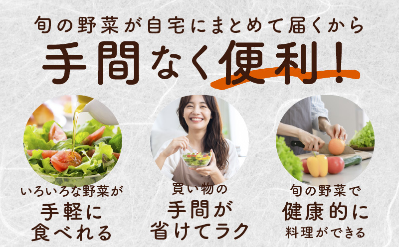 泉州野菜 定期便 全4回 15種類以上 詰め合わせ 国産 新鮮 冷蔵【毎月配送コース】 099Z190_イメージ3