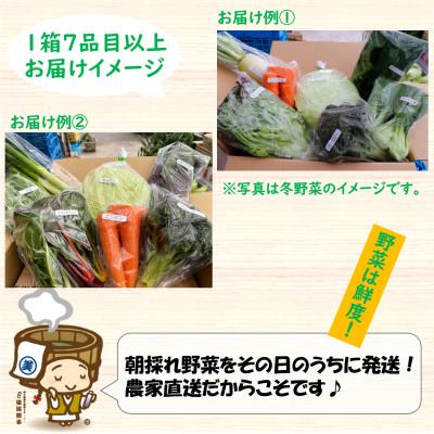 ふるさと納税 あわら市 【毎月定期便】農家直送 旬の野菜セット 7品目以上全6回 |  | 02