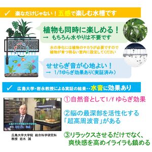 せせらぎビオトープ　25cm型照明+木枠台セット（ガジュマル＋他1種）