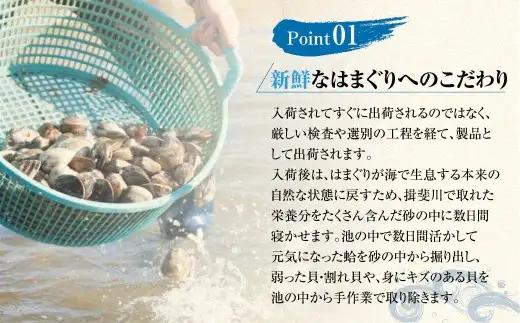 【指定日必須】【配送不可地域有】マルヨシ水産 桑名産中粒天然蛤 1kg（約30～35個）はまぐり ハマグリ 魚介 貝 魚貝 活はまぐり 焼きはま 海鮮 網焼き 酒蒸し お吸い物 パエリア パスタ