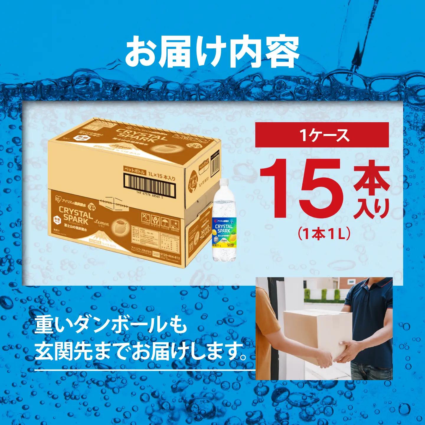 強炭酸水 レモン 3ヶ月定期便 1L×1箱 15本入 炭酸