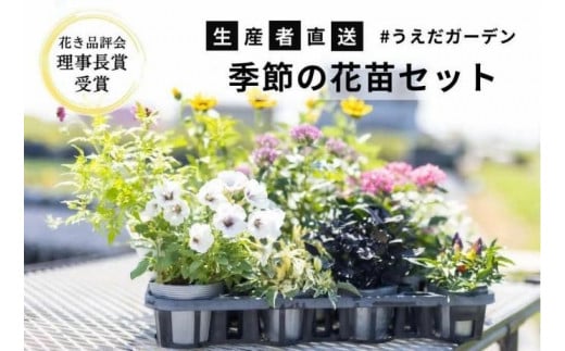 
【生産者直送】季節の花苗セット
