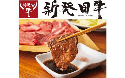 先崎畜産 新発田牛ﾛｰｽ(焼肉用)500g　H10_01