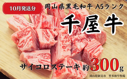 【2026年10月発送】千屋牛 サイコロステーキ(約300g) 牧場直送便 A5ランク