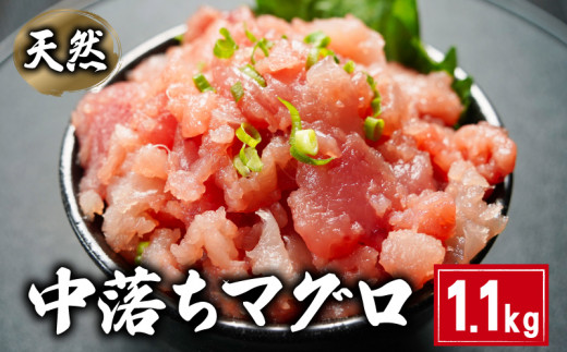 天然 中落ちマグロ  約1.1kg 160×7パック ビンチョウマグロ メバチマグロ キハダマグロ まぐろ 鮪 刺身 赤身 肉 鉢マグロ ビンチョウ キハダ 中落ち 希少 ネギトロ マグロ漬け 海鮮丼 丼 寿司 鉄火丼 手巻き寿司 魚 海鮮 魚介 おつまみ おかず 冷凍 小分け 個包装 お取り寄せ 国産 千葉県 銚子市 和田水産
