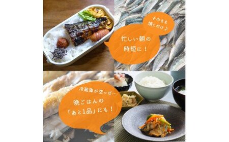 【ご家庭用】大容量！ 塩さば フィレ3.5kg / 鯖 サバ 切身【uot749C】