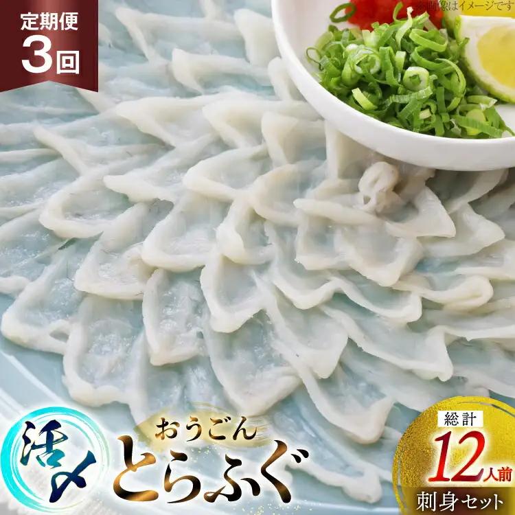 ふぐ 刺身 セット 活〆 おうごんとらふぐ 刺身セット 4人前 3回 定期便