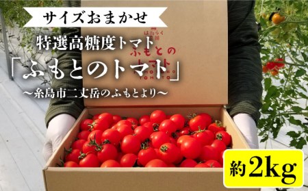 糸島二丈岳 【ふもとのトマト】サイズおまかせ 約1.8kg（専用箱入り） 糸島市 / 株式会社さいかい [AFL002] トマト トマト トマト トマト トマト トマト トマト 