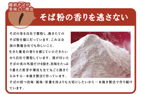 【定期便３回】創業90余年・武生製麺　常温保存の「越前そば」20食