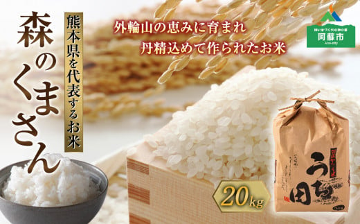 令和6年度産　内田農場の新米　森のくまさん20kg 5kg×4袋 白米