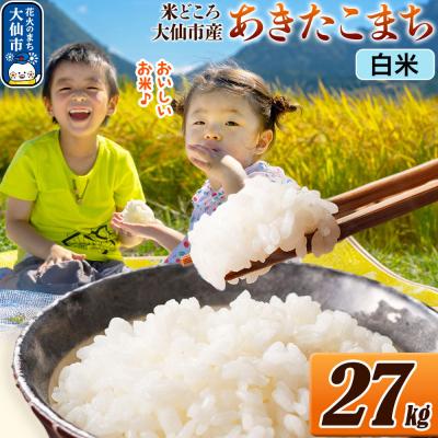 ふるさと納税 _大仙市 米 あきたこまち【白米】令和7年産  27kg(27kg×1袋)|22_ssn-062701h