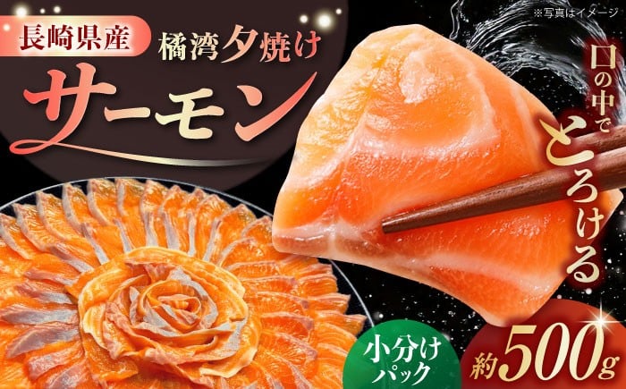 
            【国産 サーモン】長崎県雲仙産 橘湾夕焼けサーモン 約500g　長崎県/株式会社天洋丸 小分け 養殖 サーモン ブランド 国産 贈答 生食 刺身 魚介類 海鮮 冷凍[42ALAC001]
          