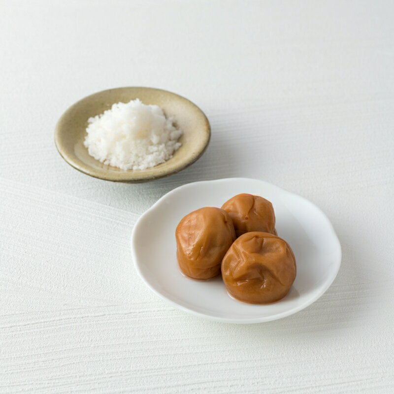【ふるさと納税】 ご家庭用梅干し　無添加白干し梅　500g・1kg / みなべ町 梅干 うめぼし ウメ 白干し梅 白梅 家庭用 紀州南高梅 南高梅 簡易包装 お弁当 おにぎり