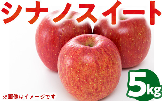 50-E 伊藤りんご園 シナノスイート 5kg | りんご リンゴ 林檎 果物 くだもの フルーツ 産地直送 先行受付 5kg 福島県 会津坂下町 ※2026年10月～発送