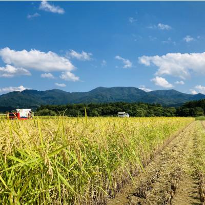 ふるさと納税 新庄市 黒澤のはえぬき(精米)3kg |  | 01