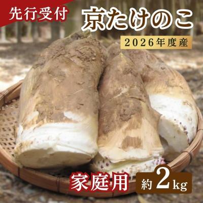 ふるさと納税 京都府 【先行予約・期間限定】2026年産 京たけのこ 約2kg 2〜6本 ( 家庭用向き)