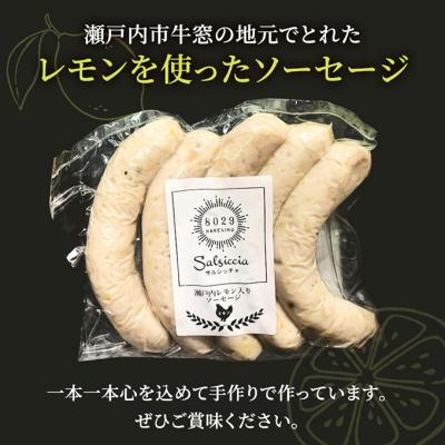 ふるさと納税 瀬戸内市 瀬戸内レモンソーセージ・干し肉160g 詰め合わせ セット 手作り   [No.5735-3384] |  | 02