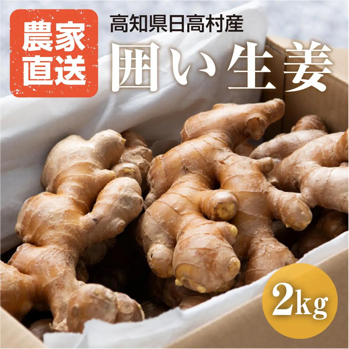 生姜 2kg　高知県産 しょうが 囲い生姜 低農薬栽培 農家直送 熟成仕上げ