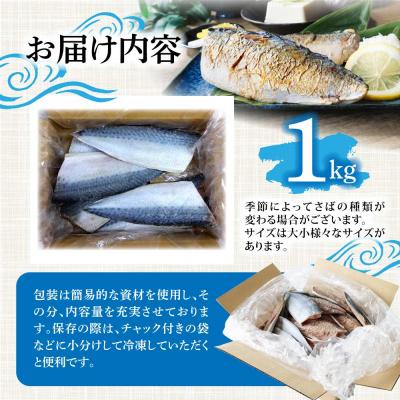 ふるさと納税 土佐清水市 R7.7月中旬〜順次発送  塩サバ 1kg 約6枚 鯖 味付き 国産 冷凍【R01424】 |  | 03
