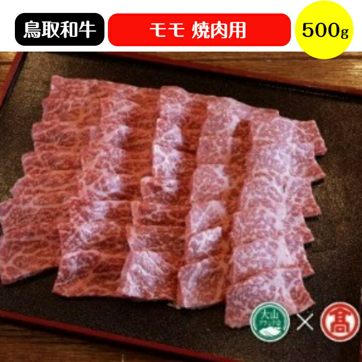 【ふるさと納税】HANAFUSA 鳥取和牛 モモ 焼肉用 500g（大山ブランド会）冷凍【34-AC2】はなふさ精肉店 肉 牛 牛肉 和牛 もも 焼き肉 ヤキニク 国産 鳥取県産 ご当地 お取り寄せ グルメ BBQ バーベキュー 鳥取県 米子市