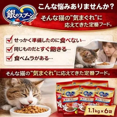 銀のスプーン 贅沢うまみ仕立て 食事の吐き戻し軽減フード ささみ・緑黄色野菜入り 1.1kg×6袋【1732799】