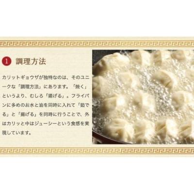 ふるさと納税 名古屋市 カリットギョウザ 生餃子 48ケ【6人前】 |  | 03