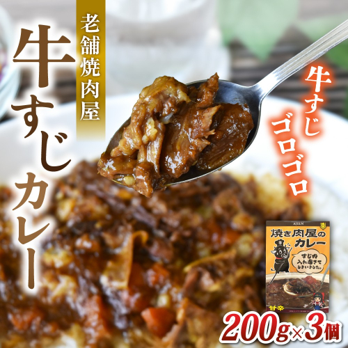 味園特選牛すじカレー200g×3個　国産黒毛和牛　高級ギフト／焼肉ホルモン味園　カレー　奈良県　葛城市