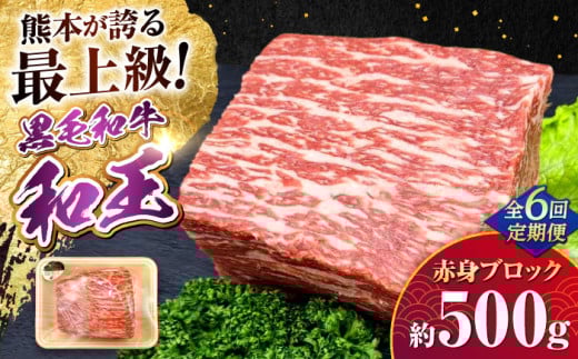 【全6回定期便】熊本県産A5等級 黒毛和牛 和王 赤身ブロック 約500g 計約3kg / 熊本 牛 肉 黒毛和牛 和牛 モモ もも 赤身 あかみ【帝神志方ミート 株式会社】 [AYCH033]