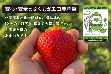 いちご あまおう 約250g×4P 3月上旬 ～ 5月中旬 いちご