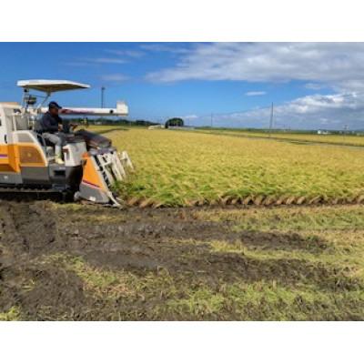 ふるさと納税 能美市 【令和7年産】石川県産にこまる米　白米5kg×1袋 |  | 02