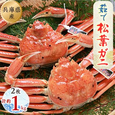 ふるさと納税 新温泉町 松葉ガニの本場よりプロ茹で松葉ガニ(冷凍)約500g×2枚