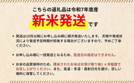 令和7年度新米 広島県産米 コシヒカリ 10kg 一等米 精米【 米 お米 新米 広島県産 おむすび ごはん ゴハン こめ コメ おにぎり 国産】※2025年10月より順次発送予定