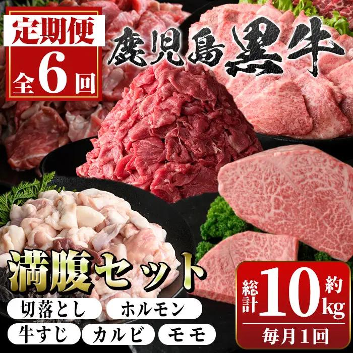 【6回定期便】鹿児島黒牛 満腹セット(全5種・合計10kg) 牛肉【新村畜産】E01009