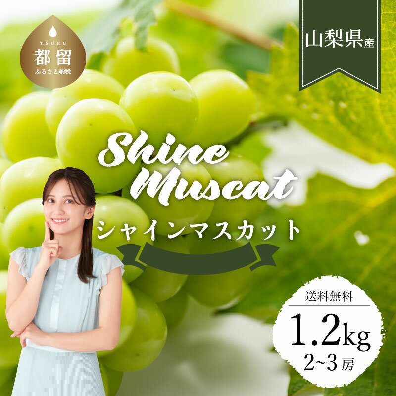 【ふるさと納税】【2026年発送！先行予約】【山梨県都留市ふるさと納税】クール便配送　山梨県産シャインマスカット約1.2kg(2〜3房)