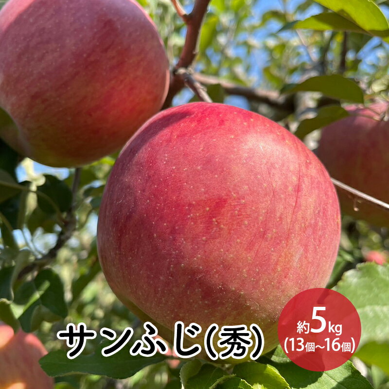 【ふるさと納税】信州りんご ・ サンふじ （秀品）約5kg（12個～18個） 　お届け：2026年11月中旬～12月中旬まで