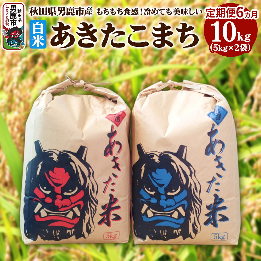 【ふるさと納税】【先行受付・定期便6ヶ月】令和7年産 あきたこまち 精米 10kg（5kg×2袋）6ヶ月連続発送（合計 60kg）秋田県 男鹿市