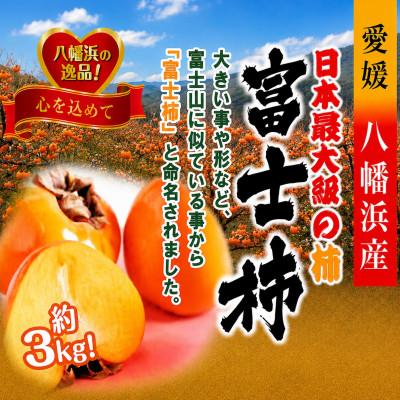 ふるさと納税 八幡浜市 甘さにニッコリ!日本最大級の柿「富士柿」約3キロ【C39-72】