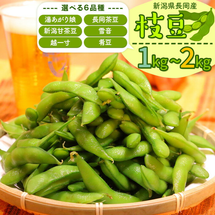 【ふるさと納税】枝豆 冷蔵 新潟 えだまめ 1kg 2kg 小分け 250g×4袋入り 250g×8袋入り 品種が選べる 内容量が選べる 湯あがり娘 長岡茶豆 新潟甘茶豆 雪音 越一寸 肴豆 新潟 冷蔵配送 長岡産季節の枝豆 エダマメ えだ豆 おつまみ（えちご中越農業協同組合）