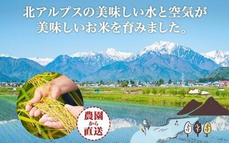 ＜先行予約＞令和7年産 コシヒカリ 白米 10kg×1袋 長野県産 米 精米 お米 ごはん ライス 甘み 農家直送 産直 信州 人気 ギフト お取り寄せ 平林農園 送料無料 長野県 大町市