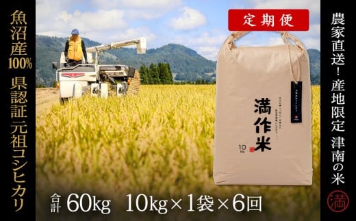 【 定期便 6ヶ月 】 米 10kg × 6回 令和7年産 新米 魚沼産 コシヒカリ 県認証米 満作米 | ブランド米 お米 おこめ こめ コメ 白米 精米 おすすめ 人気 新潟県 津南町